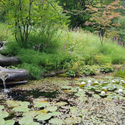 Gartenanlage im Rudolf Steiner Haus