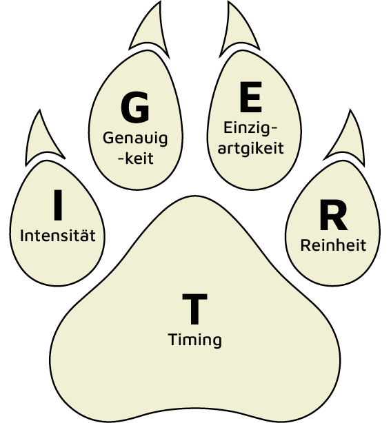 Das TIGER-Akronym zum Merken der Zutaten der NLP Anker Technik