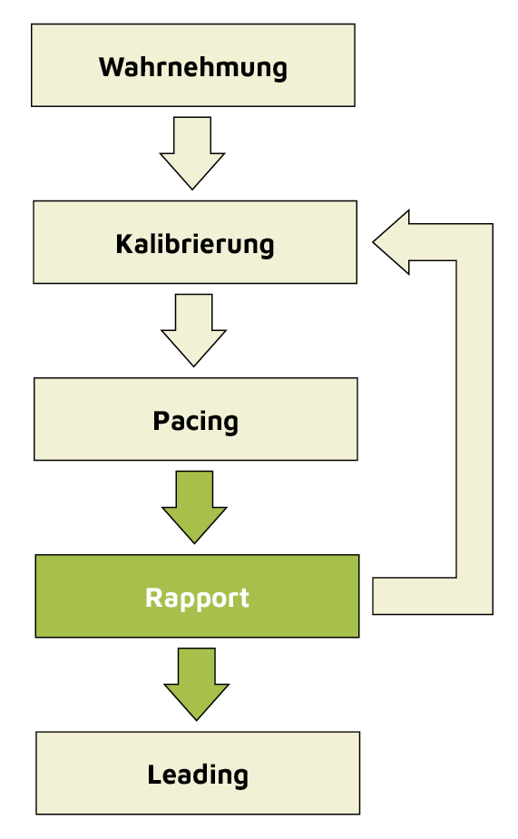 Schematische Darstellung des Rapport im Kommunikationsprozess